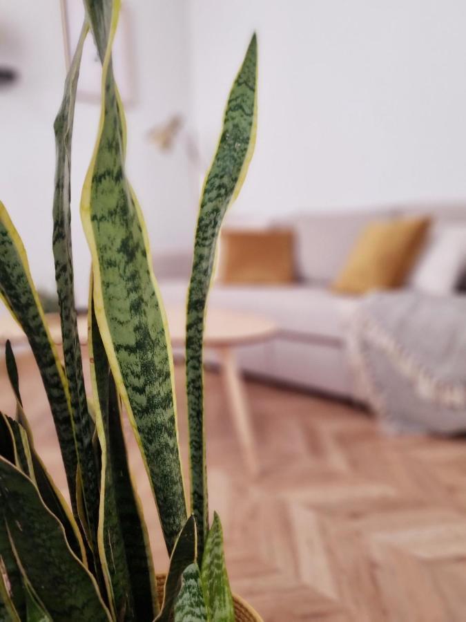 Cozy Apartment In The City Center Grenada Zewnętrze zdjęcie